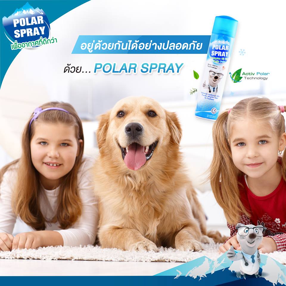 สเปรย์ปรับอากาศพร้อมกำจัดเชื้อโรค Palar Spray Eucalyptus Oil Plus Activ Polar