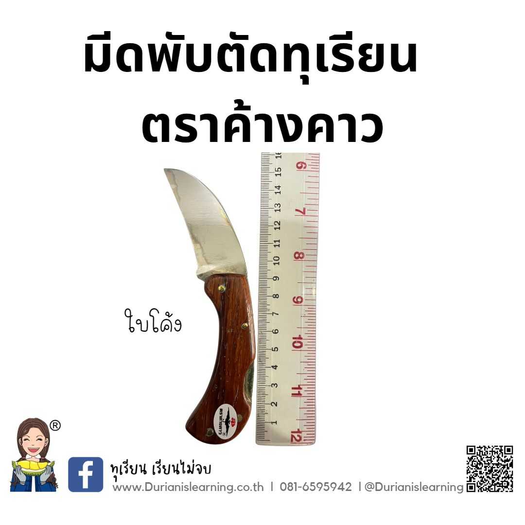 มีดพับตราค้างคาว โคง-ตรง ใบเหล็ก ด้ามไม้ เกรดอย่างดี มีดตัดทุเรียน มีดพกพา
