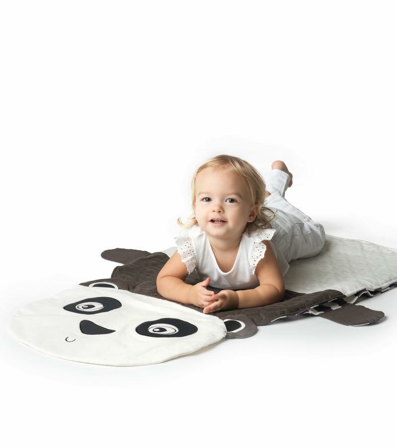 หมอนผ้าห่มสารพัดประโยชน์สุดเอนกประสงค์ Oribel Peripop (Pandy)