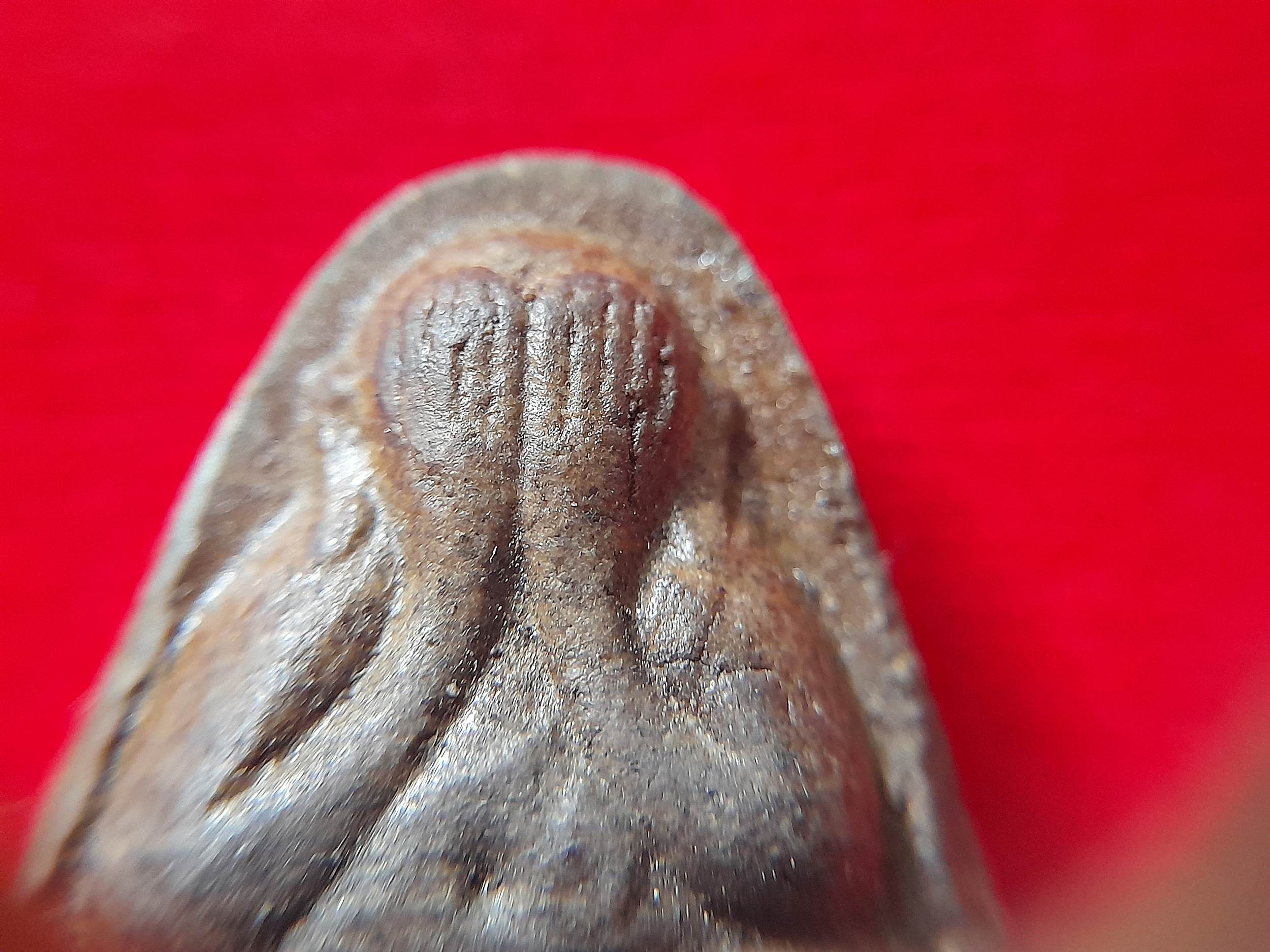 พระปิดตา หลัง ครึ่งองค์หลวงพ่อยงยุทธ เนื้อผง (แก่มวลสาร หลวงพ่อแก้ว วัดเครือวัลย์) #รับประกันแท้และทัน - หลวงพ่อยงยุทธ วัดเขาไม้แดง จ.ชลบุรี