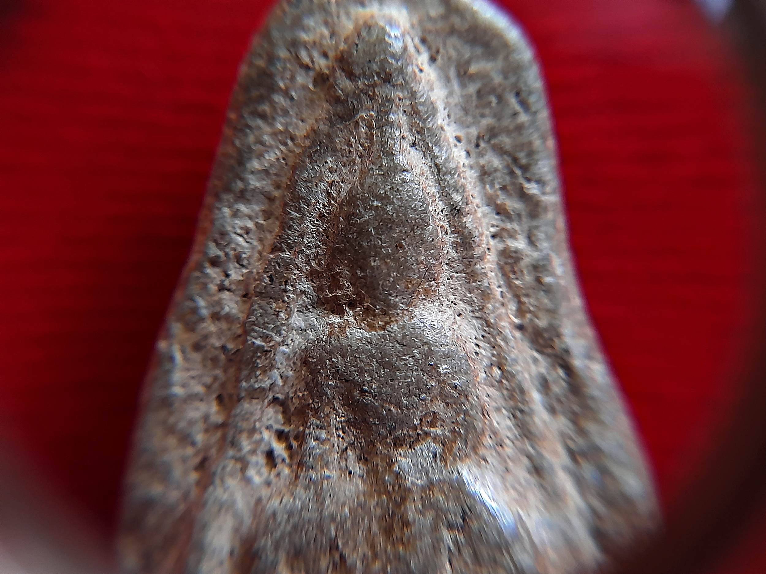 พระนางพญา พระกรุ ดอนลาน (พระแตกกรุเก่าโบราณ) กรุ พิมพ์ เดียวกันกับ ที่ หลวงปู่ เดินหน อิเกสาโร เชิญมา #รับประกันแท้ - มีลงในหนังสือ