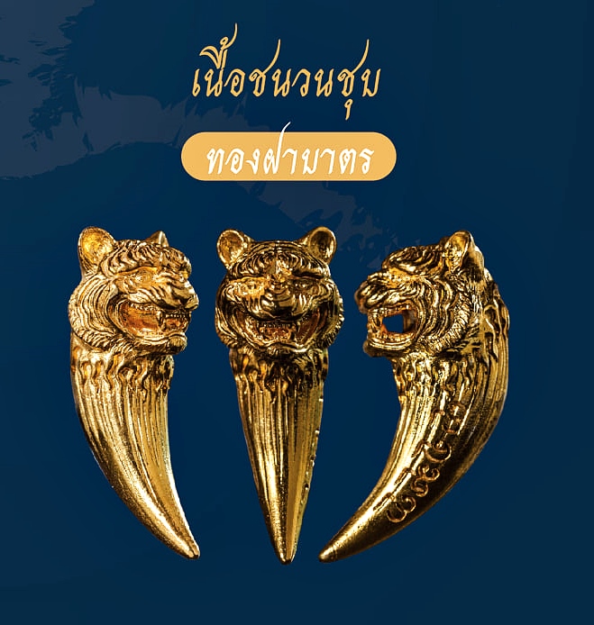 เขี้ยวเสือ เนื้อฝาบาตร (#พิธีพยัคฆ์บารมี #เป็นเมตตาและอำนาจ) พ่อปู่ฤาษีเจ้าสมิงพรายสงเคราะห์ ปี2563 - ครูบากฤษดา วันสันพระเจ้าแดง(วัดป่ายาง) จ.ลำพูน