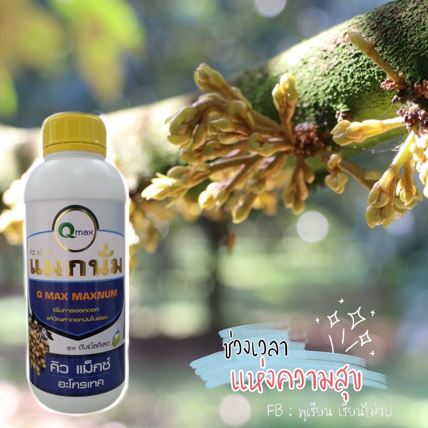 Qmax ชุดสะสมอาหารพร้อมเปิดตาดอกทุเรียนท้าฝน 3 ขวด