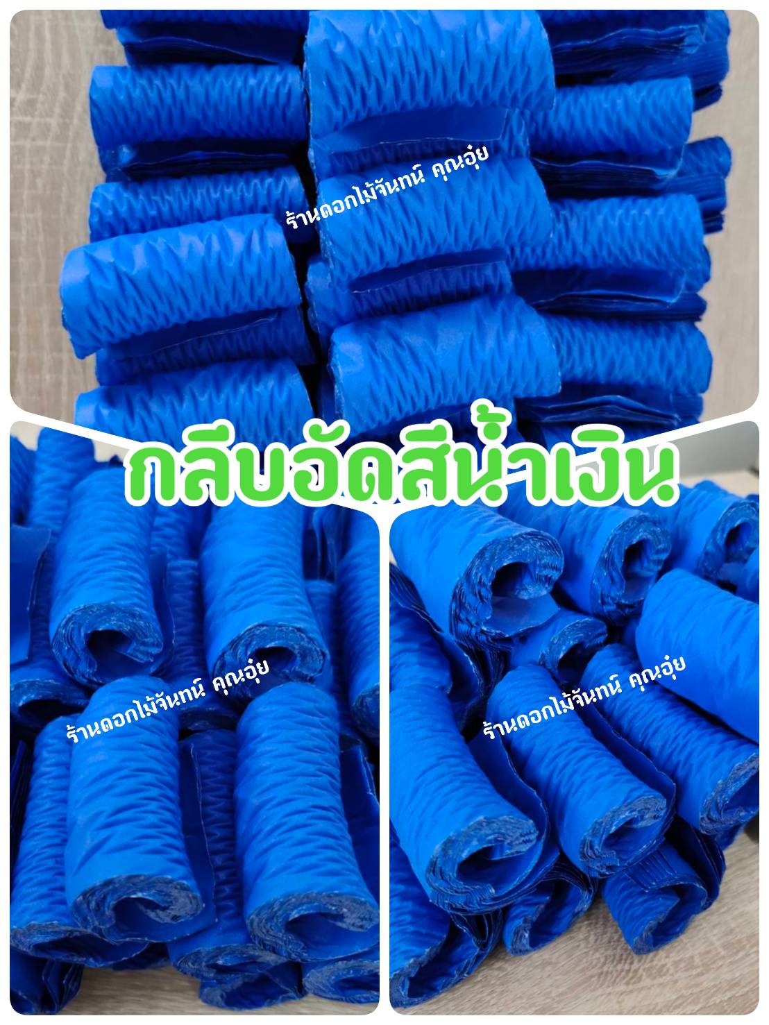 กลีบอัด สีน้ำเงิน กลีบดอกไม้จัน ดอกไม้จัน กลีบอัดดอกไม้จันทน์ กลีบอัดย่น ดอกไม้จันทร์ ดอกไม้จันทน์ กระดาษอัดดอกไม้จัน
