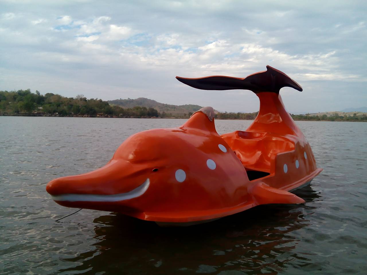 เรือถีบ เรือปั่น เรือจักรยานน้ำ เรือสัตว์โลมา ไฟเบอร์กลาส