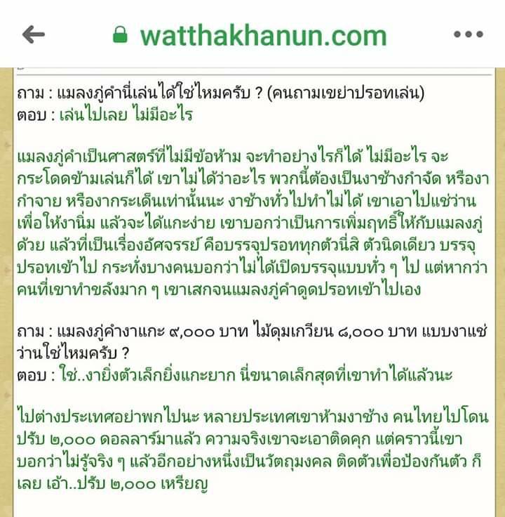 แมลงภู่ (แมงภู่ แมงบู๊) แกะสลัก เนื้อไม้งิ้วดำ (ฝั่งเข็มบรรจุด้วยปรอทป่าแท้) ปี2563