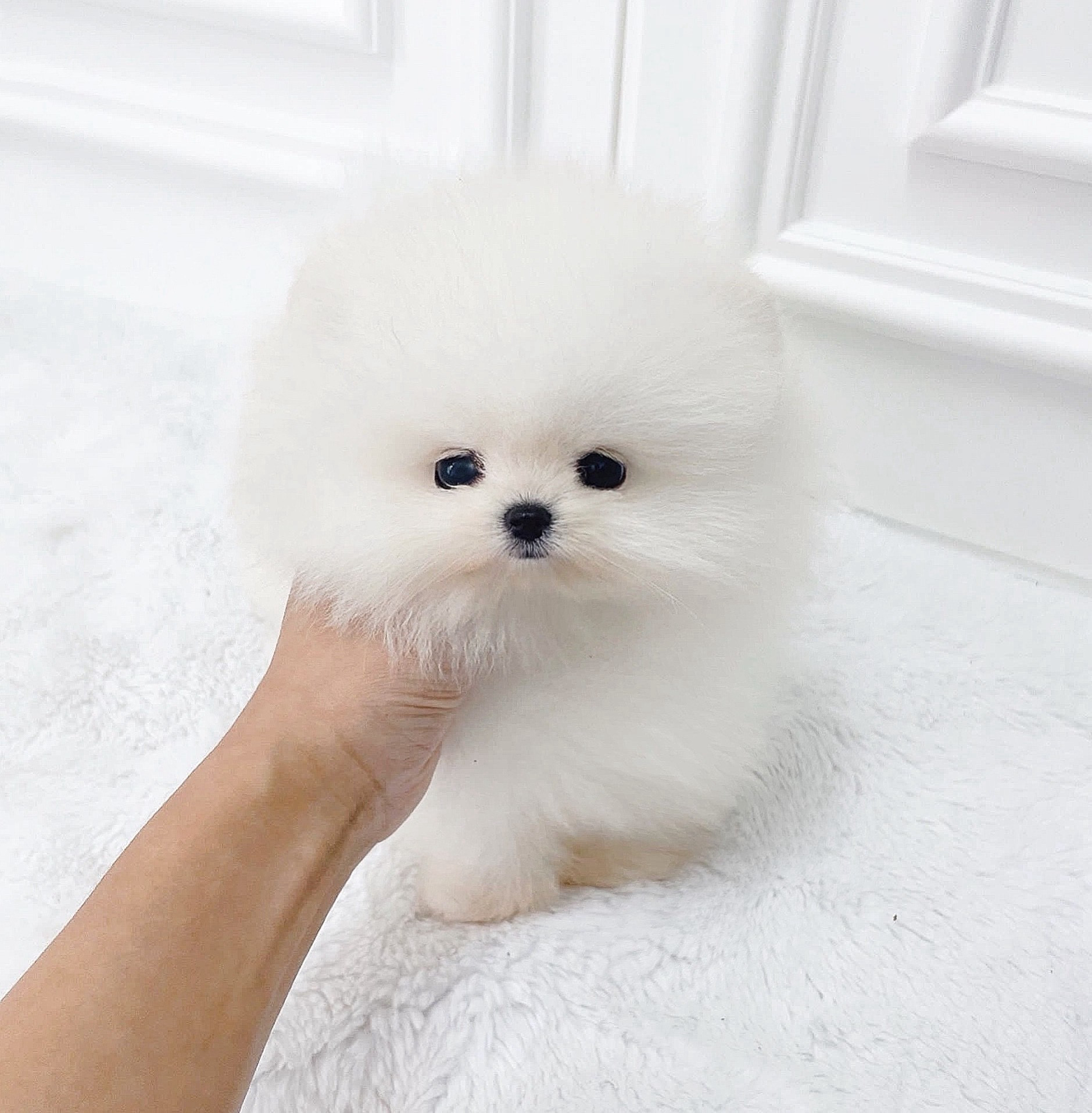 ย้ายบ้านแล้ว