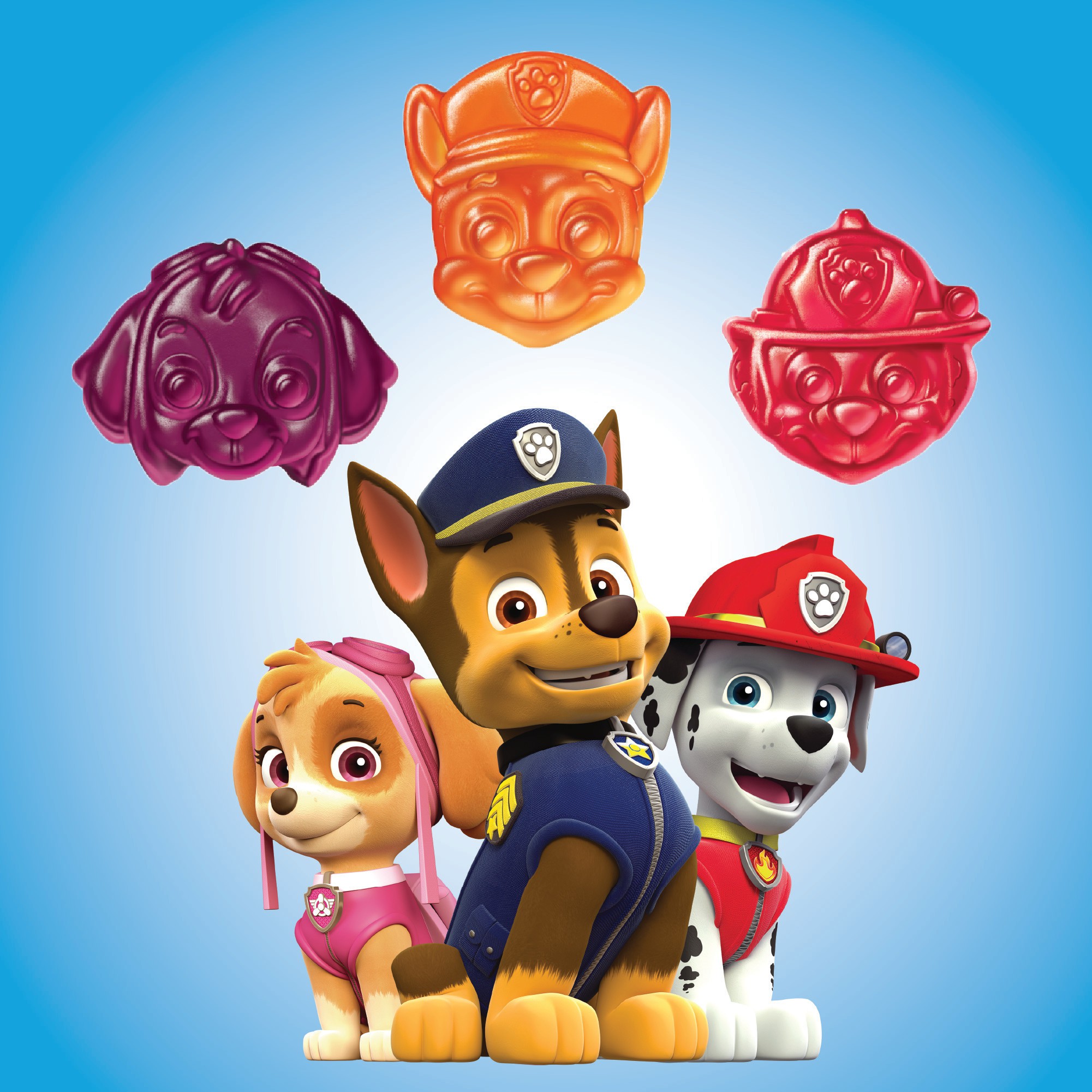วิตามินรวมสำหรับเด็กชนิดกัมมี่ L'il Critters Paw Patrol Complete Multivitamin (190 Gummies)