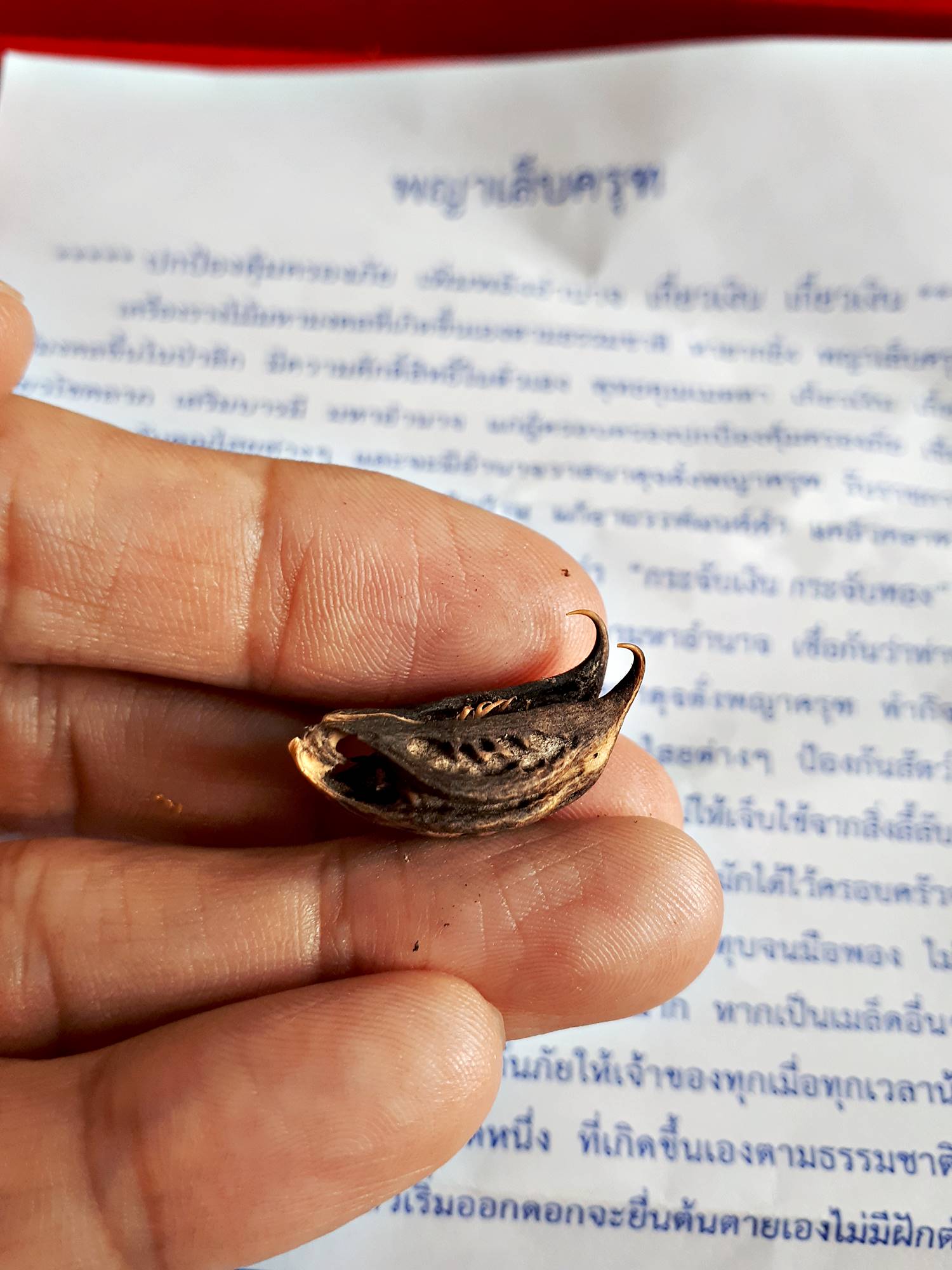 เล็บครุฑ วัตถุมงคลเครื่องราง