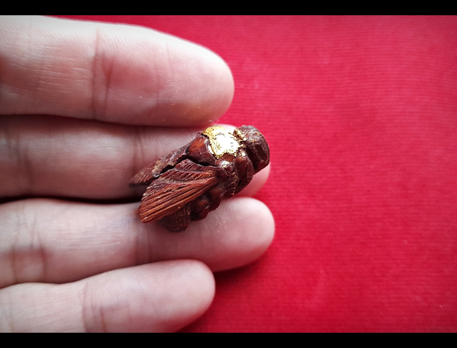 แมลงภู่ (แมงภู่ แมงบู๊) แกะสลัก เนื้อไม้ดุมล้อเกวียน ฝั่งเข็มบรรจุด้วยปรอทป่าแท้ ปี2563 #รับประกันแท้