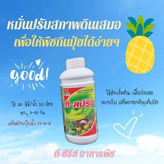 ชุดอาหารพืช ที-ซีรีย์ 4 ขวด