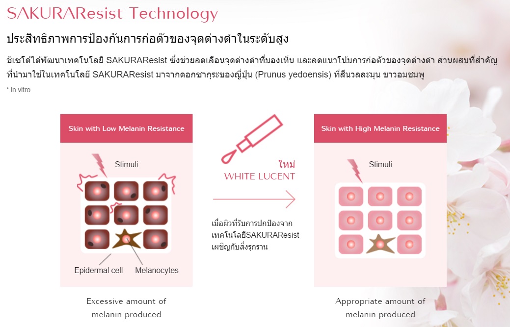 (Tester) Shiseido White Lucent MultiBright Night Cream 10mL เทคโนโลยี SAKURAResist ดูแลทุกปัญหาผิวหมองคล้ำและจุดด่างดำในยามค่ำคืน เพื่อให้คุณตื่นมาพร้อมกับผิวที่ดูเปล่งประกายกระจ่างใส