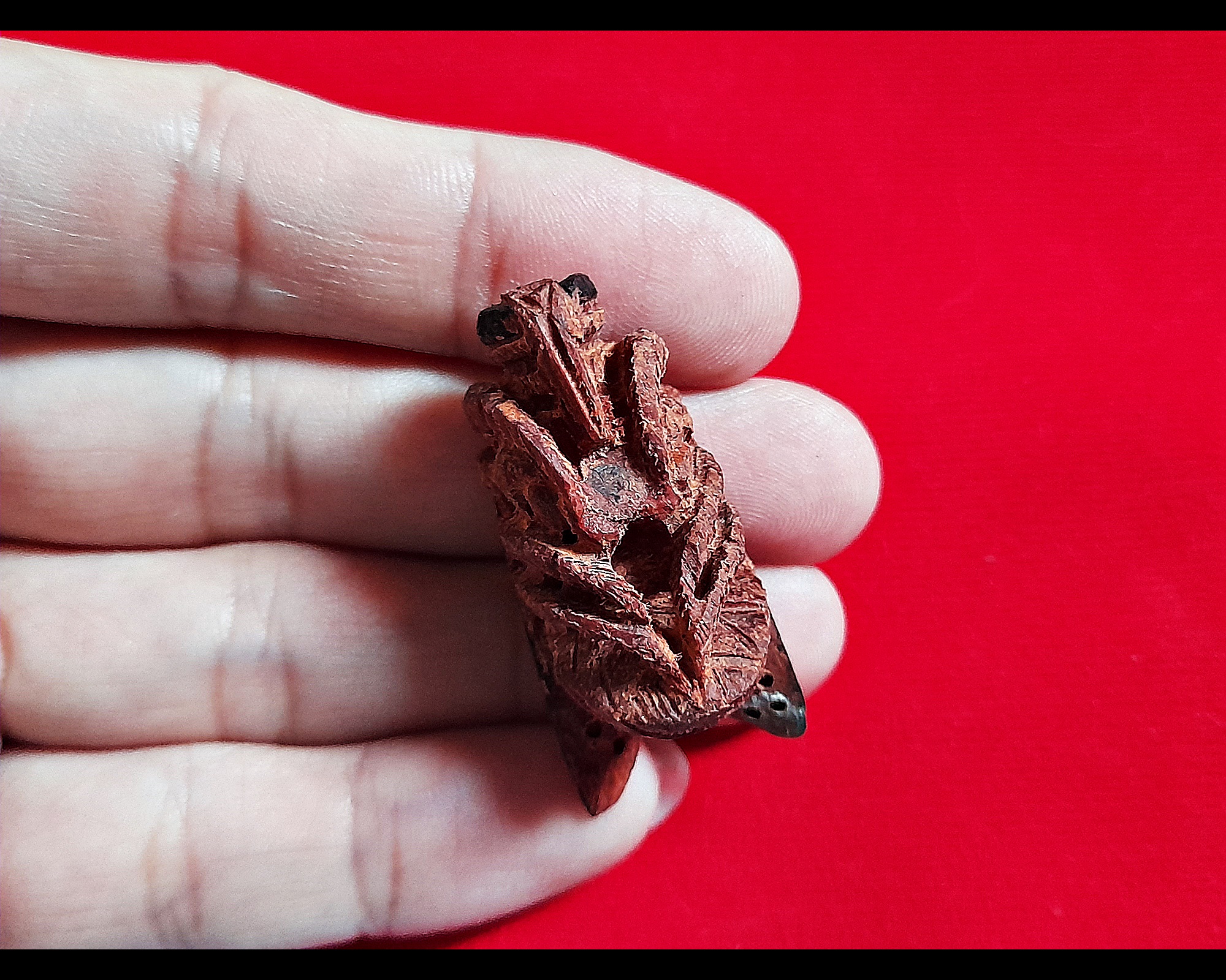 แมลงภู่ (เทพจำแลงอารักษ์) ปีกดำ #ตัวใหญ่ เนื้อไม้ดุมล้อเกวียน (งานแกะทำมือทุกขั้นตอนทีละองค์ ตามสูตรโบราณล้านนา) (ปลุกเสก3พิธี) ปี2564 #รับประกันแท้ - หลวงพ่อเล็ก วัดท่าขนุน #ปลุกเสก3พิธี