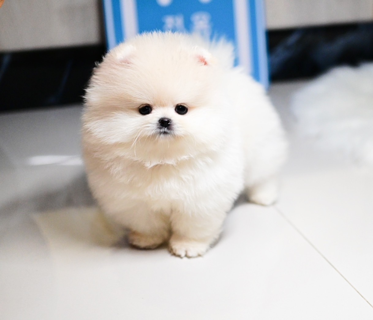 ย้ายบ้านแล้ว