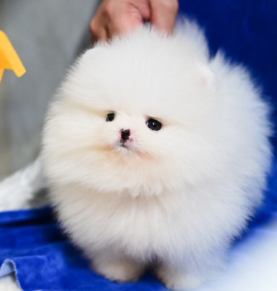 ย้ายบ้านแล้ว