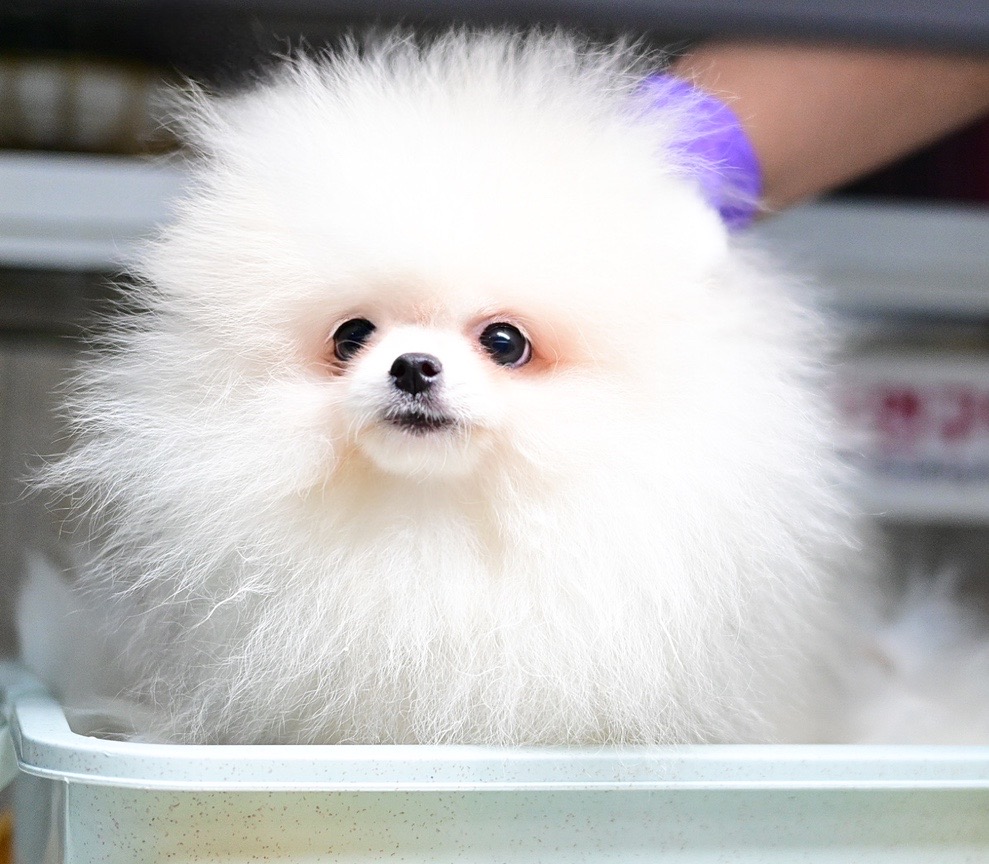 ย้ายบ้านแล้ว