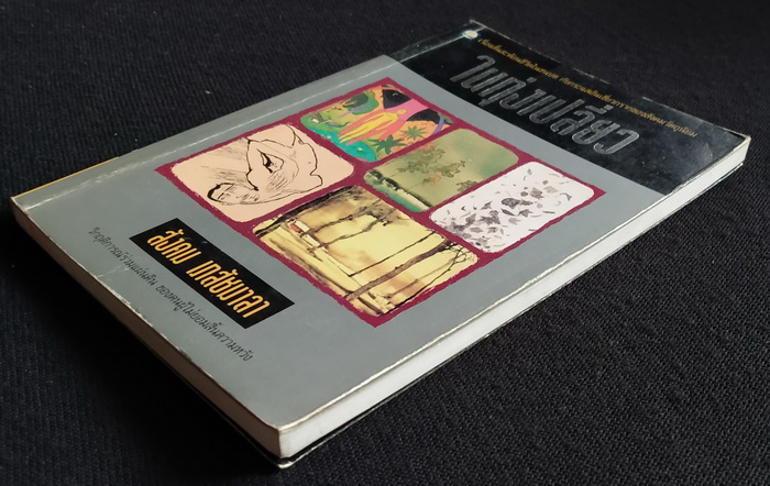 ในทุ่งเปลี่ยว