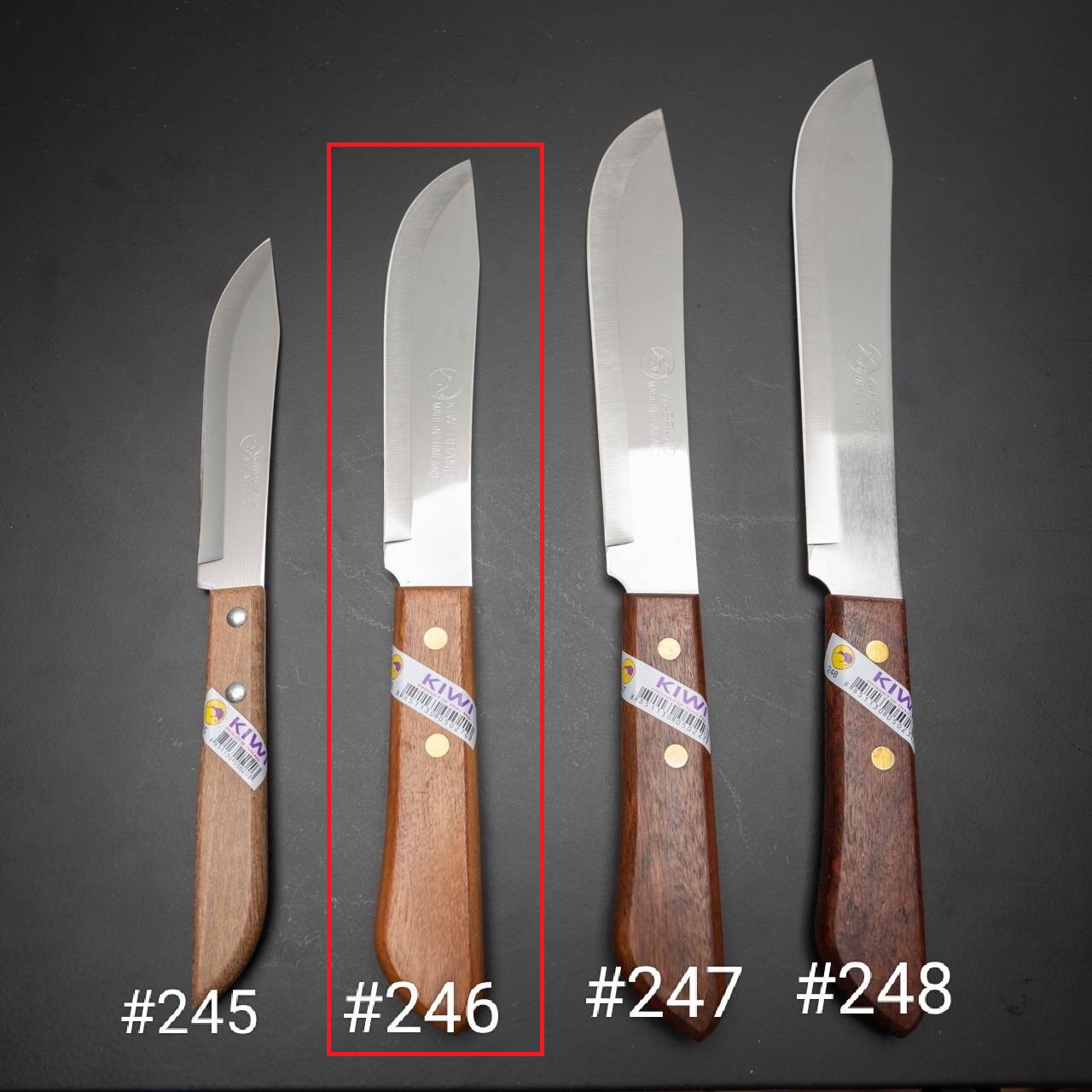P12384 มีดกีวี 6 นิ้ว ด้ามไม้ คมกริบ No.246 ราคาขายส่งต่อ 1 โหล: 12 อัน