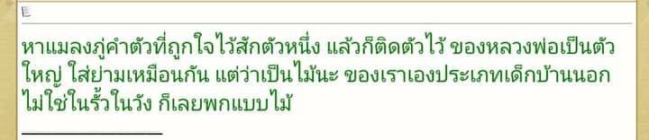แมลงภู่ (แมงภู่ แมงบู๊) แกะสลัก เนื้อไม้งิ้วดำ (ฝั่งเข็มบรรจุด้วยปรอทป่าแท้) ปี2563