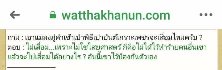 แมลงภู่ (แมงภู่ แมงบู๊) แกะสลัก เนื้อไม้งิ้วดำ (ฝั่งเข็มบรรจุด้วยปรอทป่าแท้) ปี2563