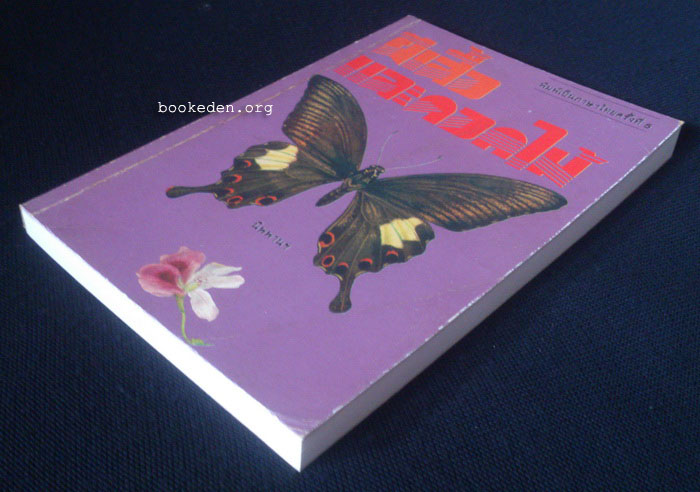 ผีเสื้อและดอกไม้