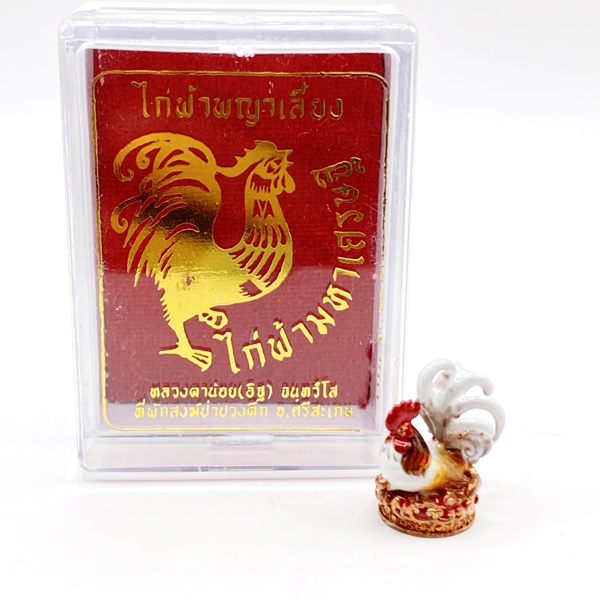 ไก่ฟ้าพญาเลี้ยง ไก่ฟ้ามหาเศรษฐี (เนื้อมหาเดโชลงยาสีอีนาเมลหางขาว) หลวงตาน้อย สำนักสงฆ์ป่าปวงตึก หลวงปู่ศิลา (หลวงปู่มหาศิลา)