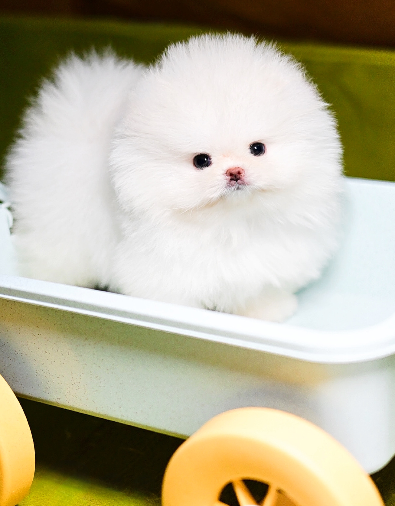 ย้ายบ้านแล้ว