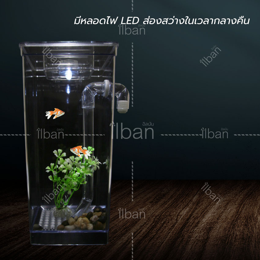 Elit ตู้ปลามินิ พร้อมไฟ LED My Fun Fish Cleaning Tank