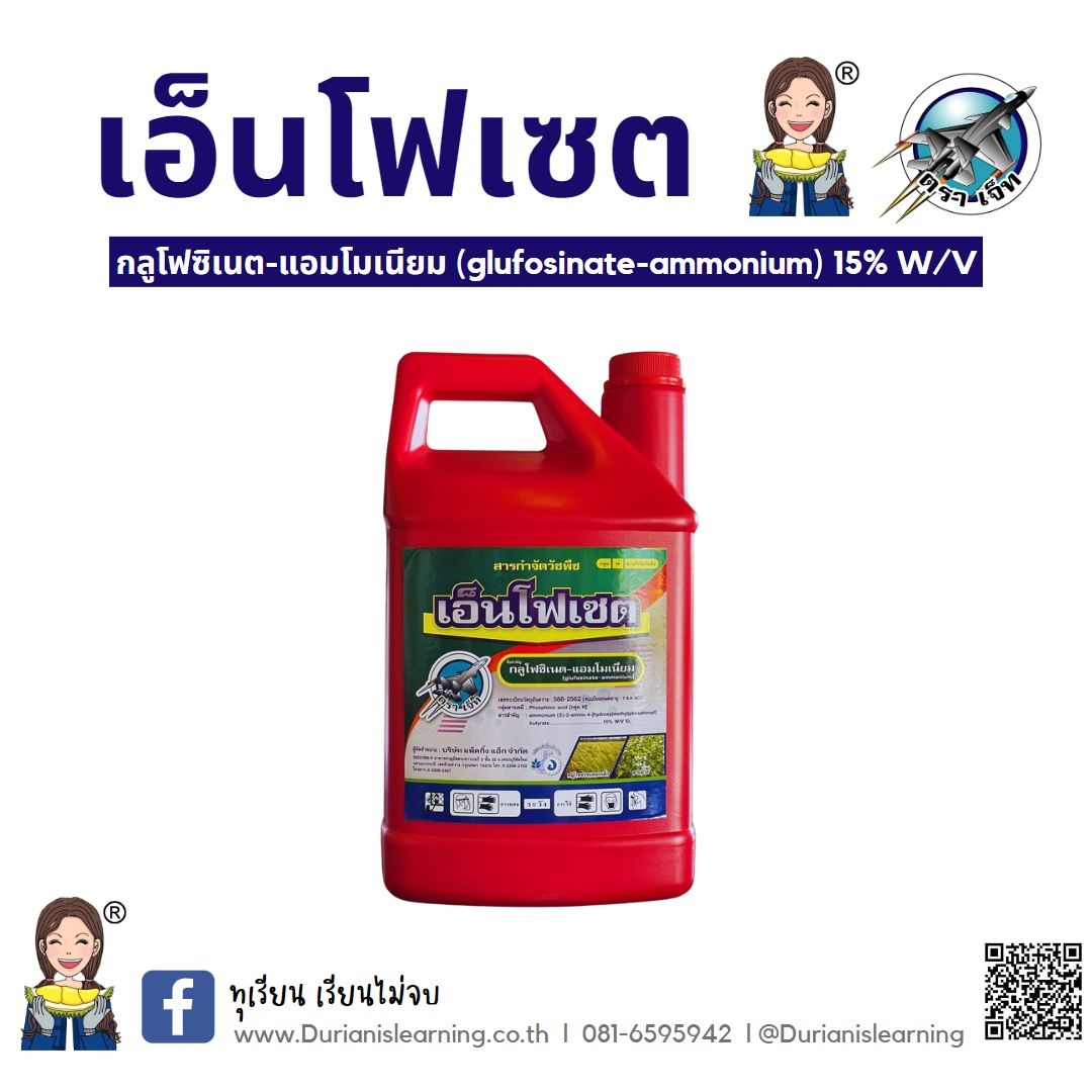 เอ็นโฟเซต #H (6x4 L.) ยกลัง 6 แกลอน กลูโฟซิเนต-แอมโมเนียม (glufosinate-ammonium) 15% W/V SL