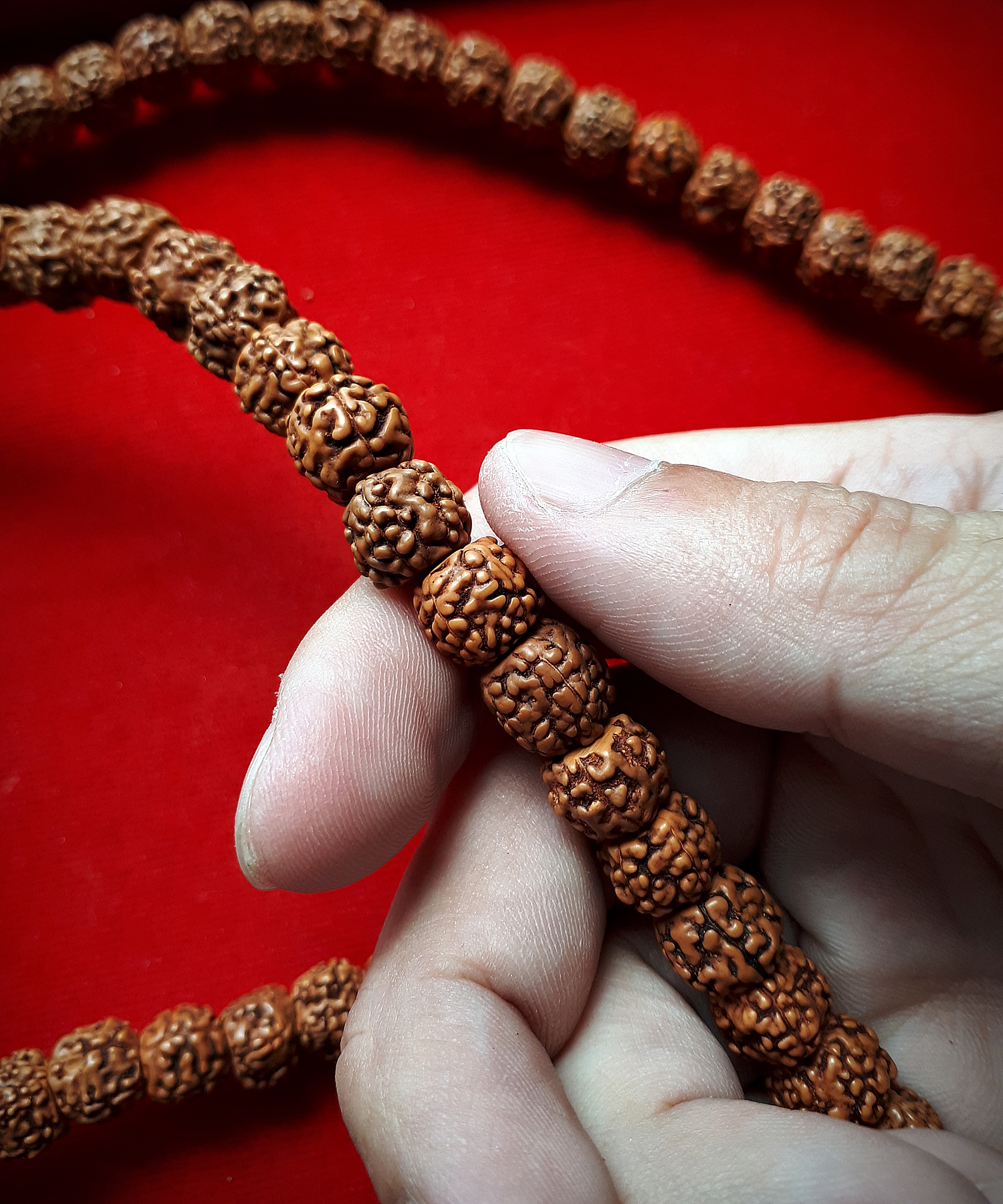 ประคํา น้ำตาพระศิวะ เมล็ดรุทรักษะ สร้อยคอ และ ข้อมือ ของแท้นำเข้าจาก อินเดีย (ขายปลีก ขายส่ง)