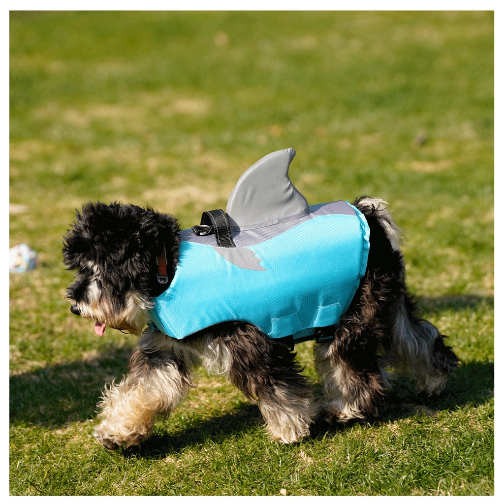 C221 Baby Shark Life vest ฉลาม เสื้อชูชีพสุนัข ชูชีพหมา ชูชีพสัตว์เลี้ยง มีแถบสะท้อน ระบายอากาศได้ดี สีสันสดใส แห้งเร็ว