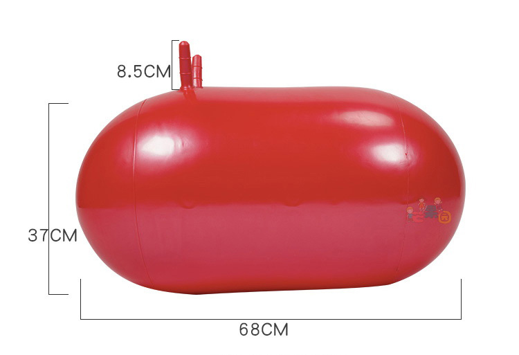 ทรงถั่ว ลูกบอลกายภาพบำบัด ฝึกการทรงตัว Peanut Ball with Pump