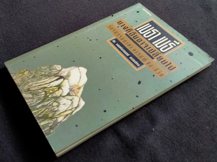 บางทีฉันอาจเปลี่ยนไป **มีลายเซ็นผู้เขียน