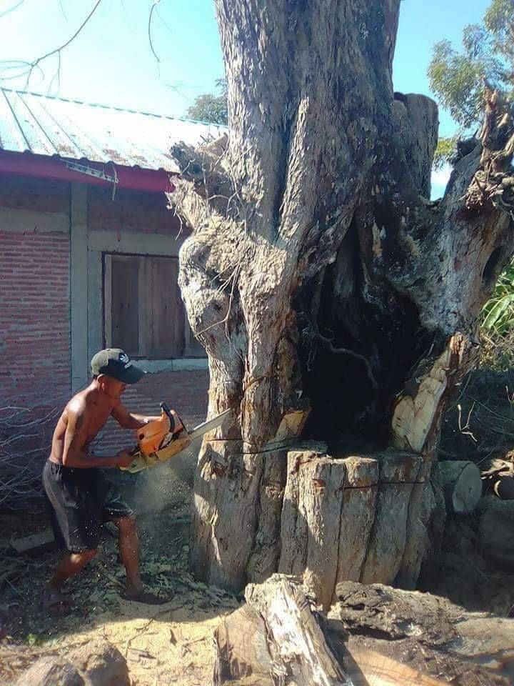 ประคำ 108 เม็ด (เม็ดวงรี) เนื้อแก่นไม้มะขามโปร่งฟ้า ยืนต้นตายพราย (ตายเองโดยแบบธรรมชาติ อายุ ไม่ต่ำกว่า300ปี) #รับประกันแท้ #รับประกันแท้