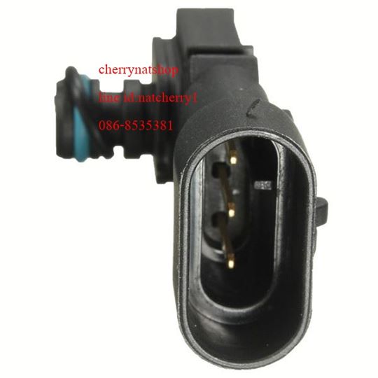 proton savvy map sensor