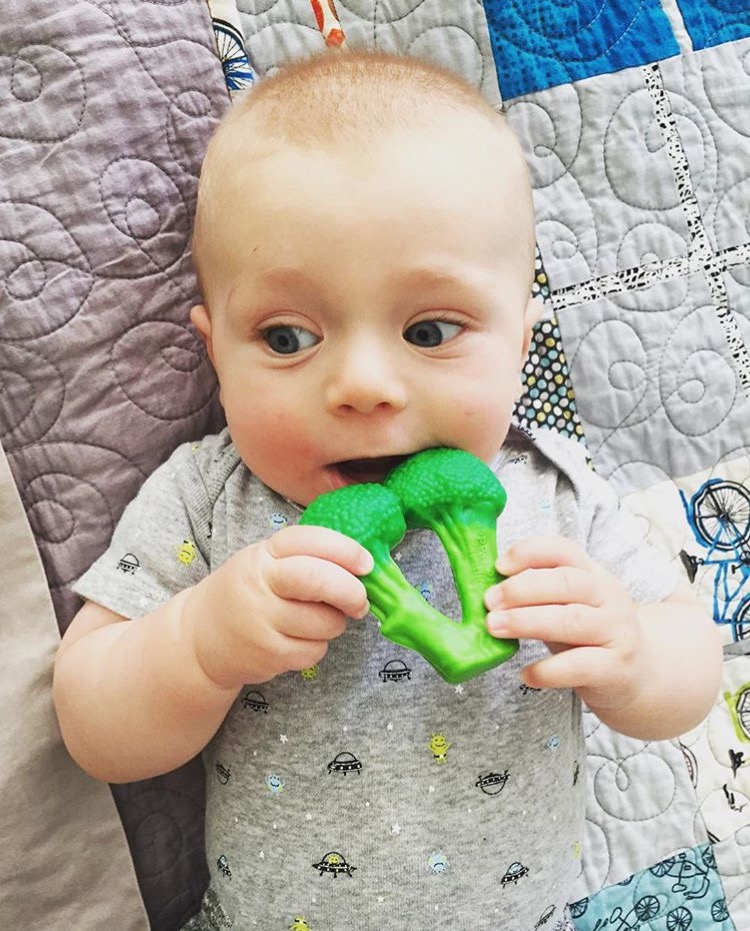 ยางกัดรูปทรงสุดฮา Little Toader Appe Teethers Teething Toys (Broccoli Bites)