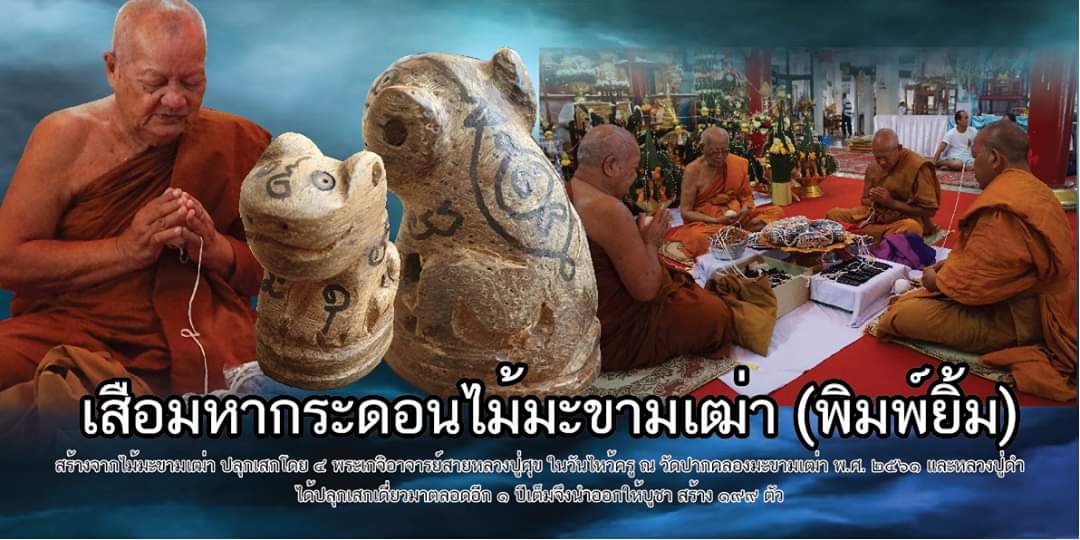 เสือมหากระดอน (ไม้ข่ามเฒ่า) (พิมพ์ยิ้ม) ปี2561 วัดปากคลองมะข่ามเฒ่า จ.ชัยนาท - (ปลุกเสกในสายหลวงปู่ศุข)