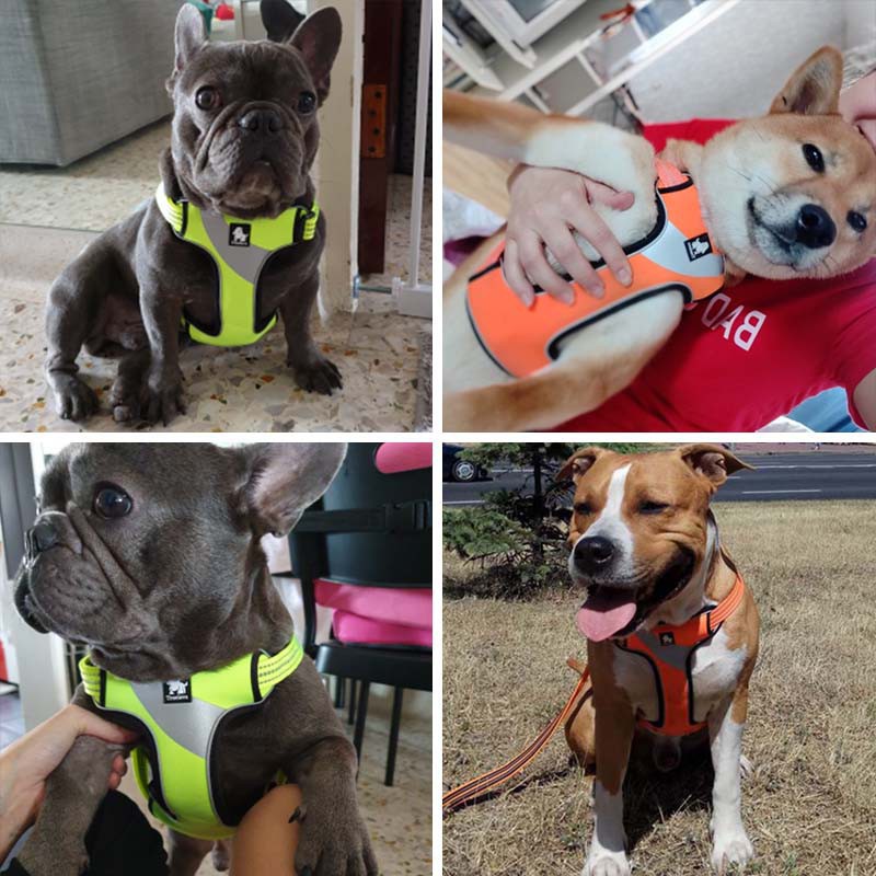 C126 TRUELOVE TH Pet Harness Reflector ปลอกคอรัดอกสุนัขสะท้อนแสง ป้องกันอันตรายจากการกระชาก ฮาเนสสุนัขแบบรัดอก