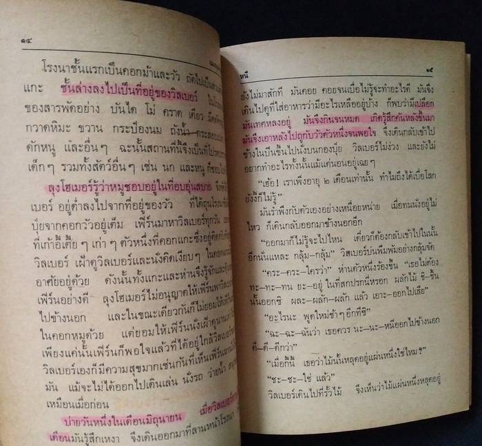 แมงมุมเพื่อนรัก