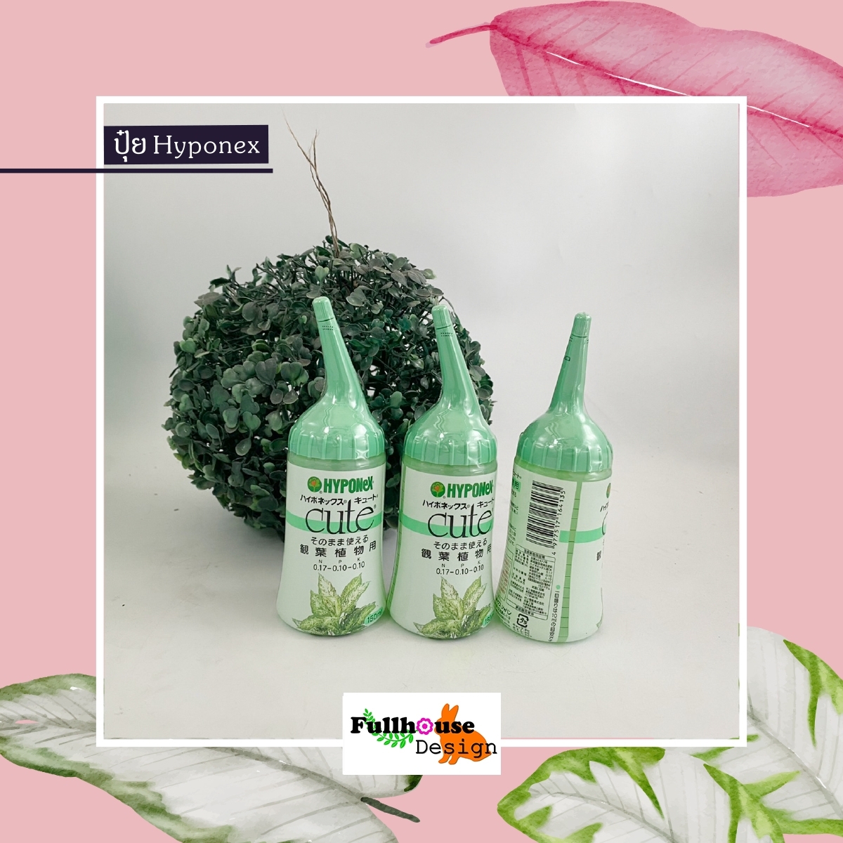 HYPONEX CUTE ปุ๋ย (ไฮโพเนกซ์) สีเขียว สำหรับ กล้วยไม้ ดอกไม้ ไม้ด่าง ให้แข็งแรง โตเร็ว สีสันสดใส ขนาด 150ml สินค้านำเข้า