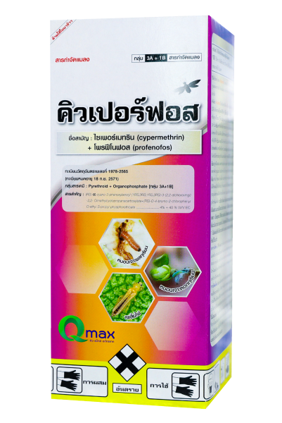 คิวเปอร์ฟอส #3A+1B (1,000 ซี.ซี.)