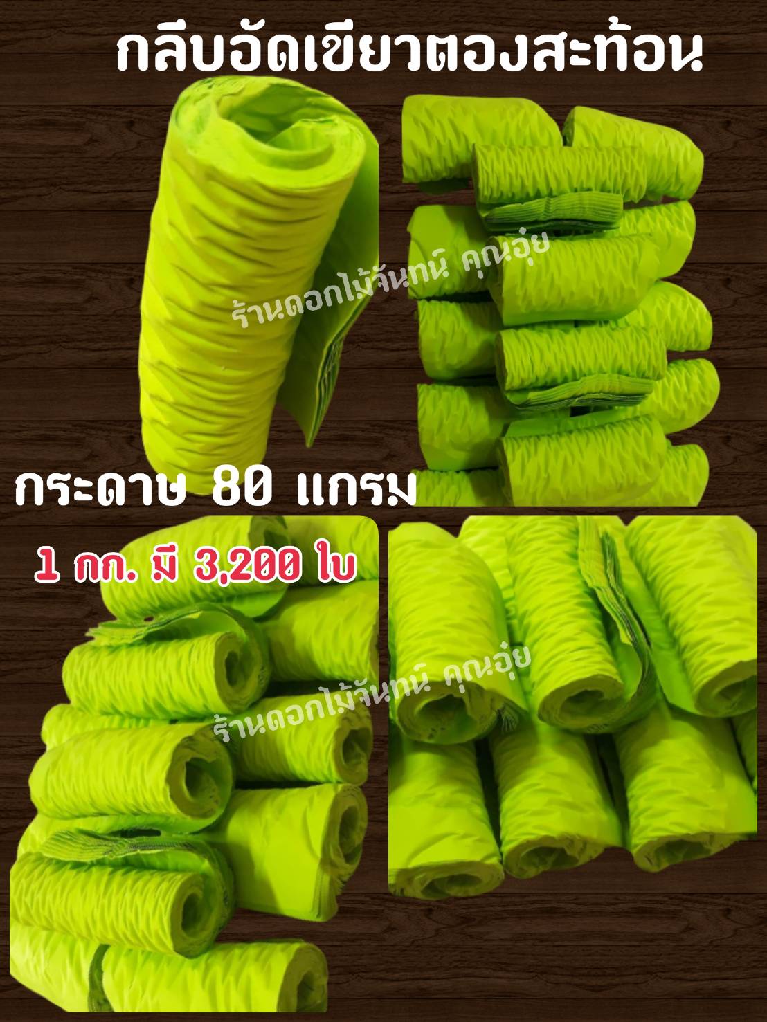 กลีบอัด สีเขียวตองสะท้อน กลีบดอกไม้จัน ดอกไม้จัน กลีบอัดดอกไม้จันทน์ กลีบอัดย่น ดอกไม้จันทร์ ดอกไม้จันทน์ กระดาษอัดดอกไม้จัน