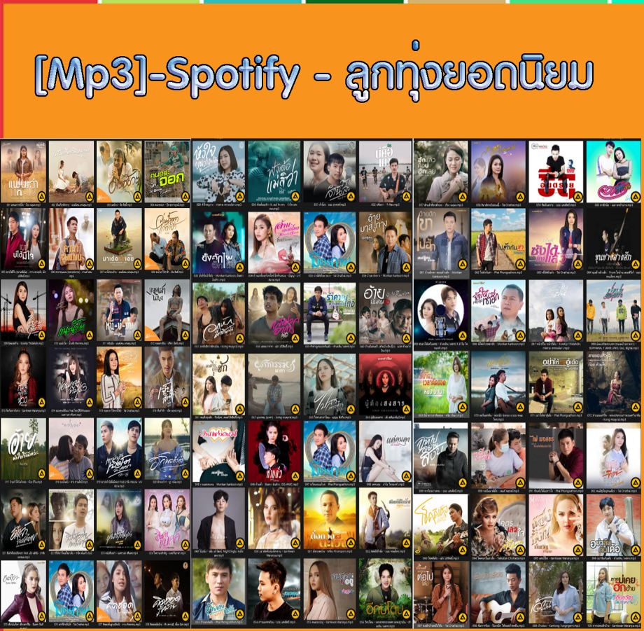 Spotify - ลูกทุ่งยอดนิยม ( 1 CD )