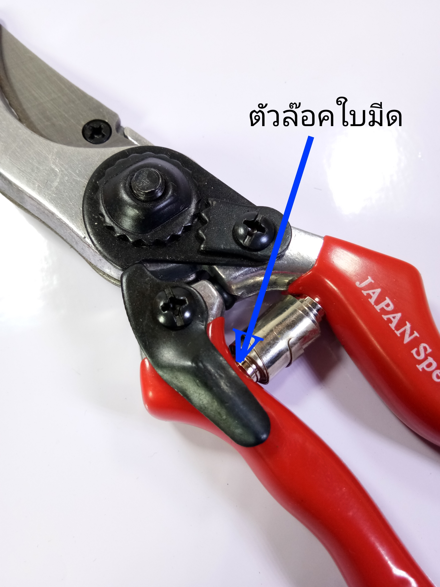 กรรไกรตัดกิ่งไม้Sonicขนาด8นิ้วพร้อมใบมีดและสปริงสำรอง