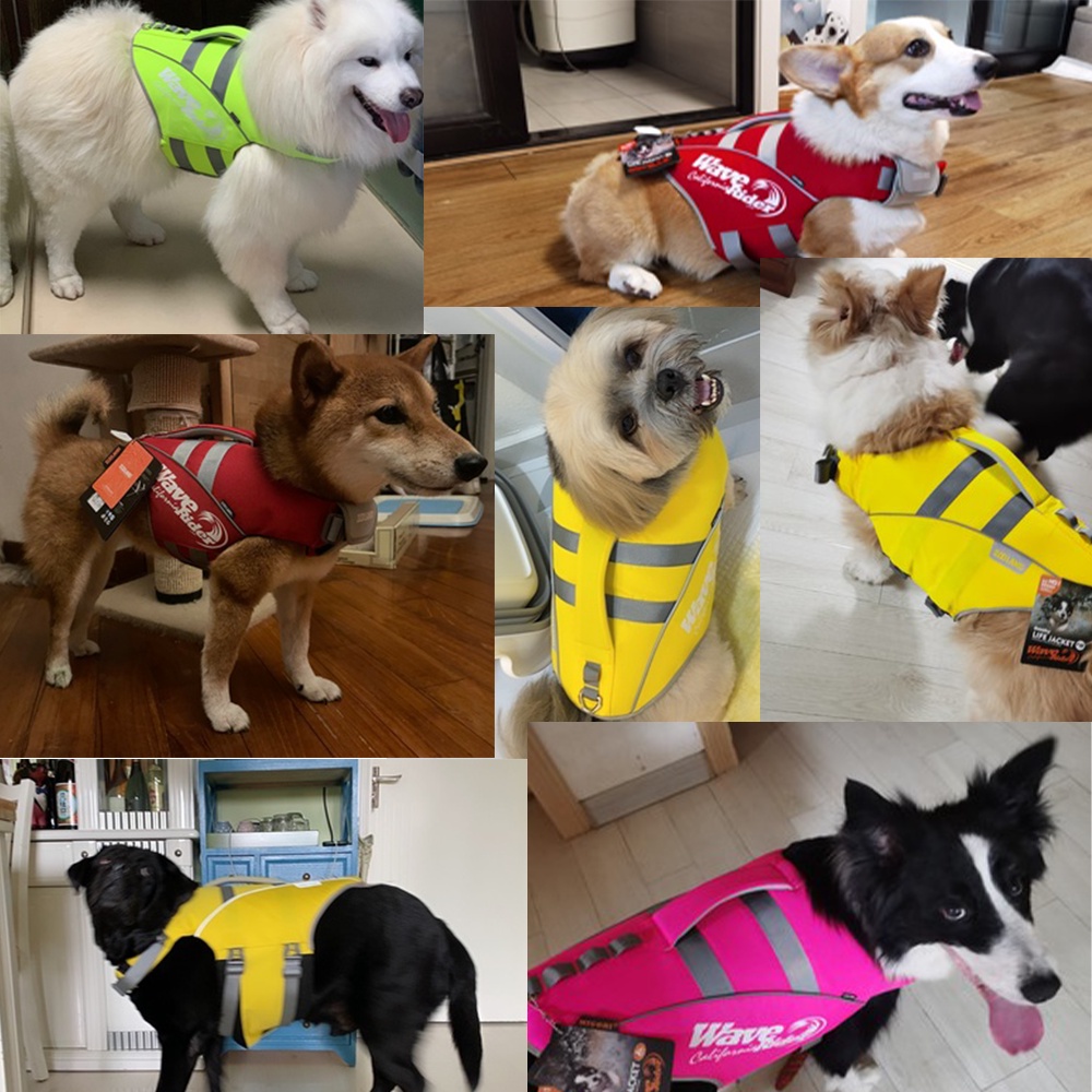 C238 Zooland เสื้อชูชีพสุนัข ชูชีพหมา ชูชีพสัตว์เลี้ยง มีแถบสะท้อน ระบายอากาศได้ดี สีสันสดใส แห้งเร็ว