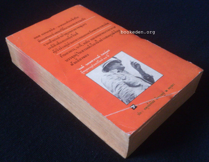 บนหลังหมาแดดสีทอง