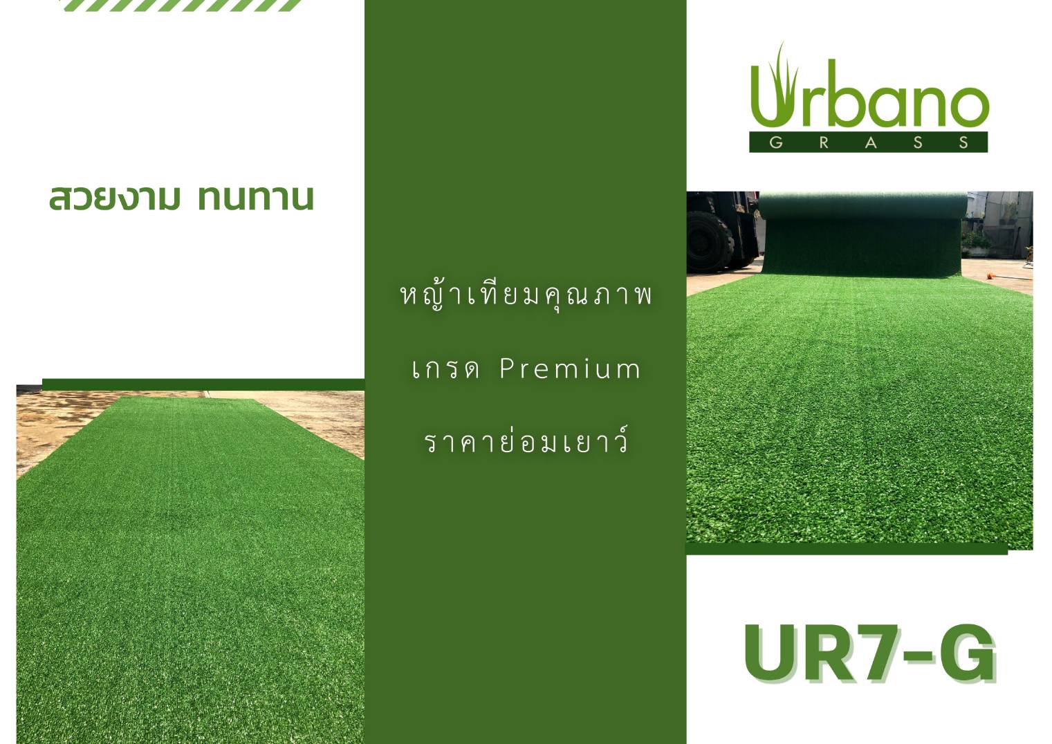 หญ้าเทียม รุ่นพรมสั้น 0.7 ซม. Urbano grass แต่งพื้น ปูพื้น หย่าแต่งสวน แต่งคอนโด สำหรับแต่งบ้าน
