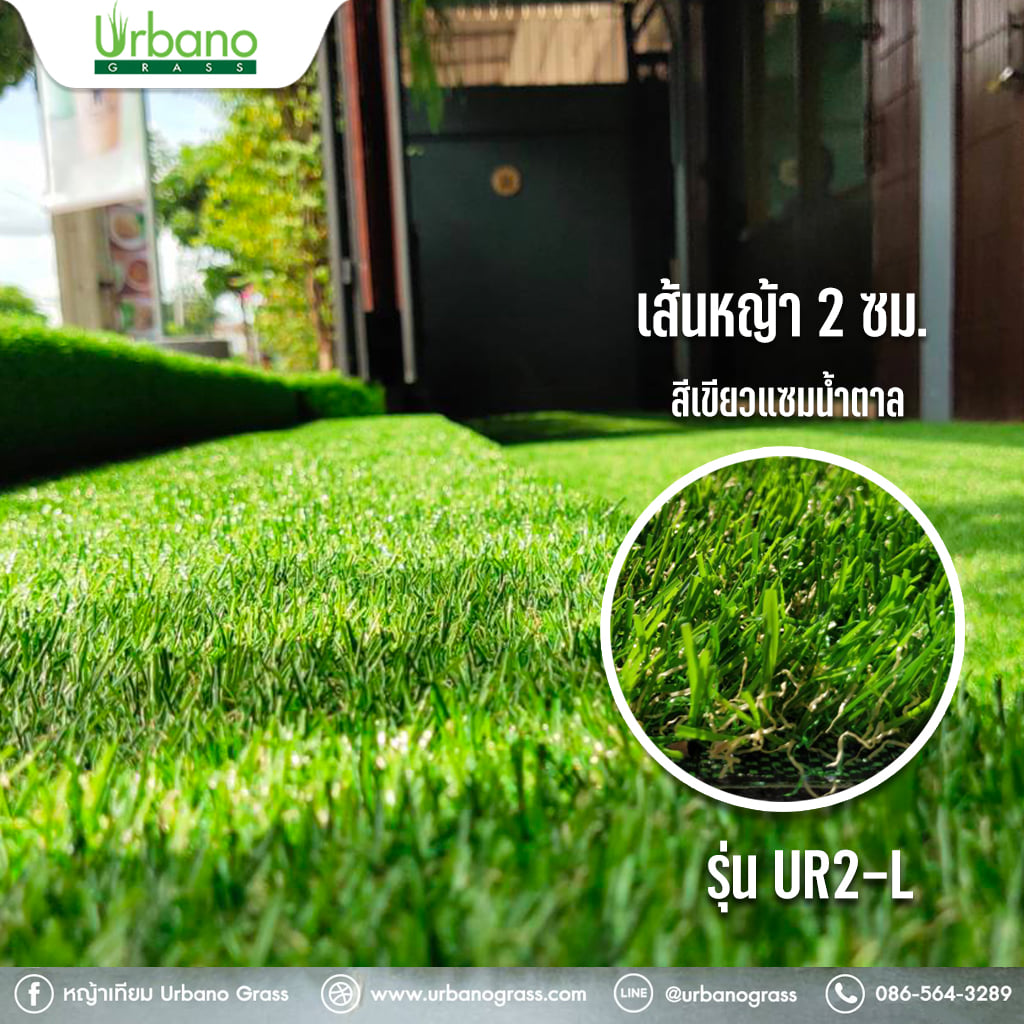 หญ้าเทียม รุ่น 2 cm.สีเขียมแซมน้ำตาล เกรดพรีเมี่ยม Urbano Grass เออบาโน่กร๊าส สำหรับแต่งสวน