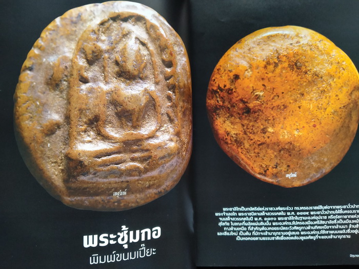 อนุรักษ์ ฉบับที่ 11