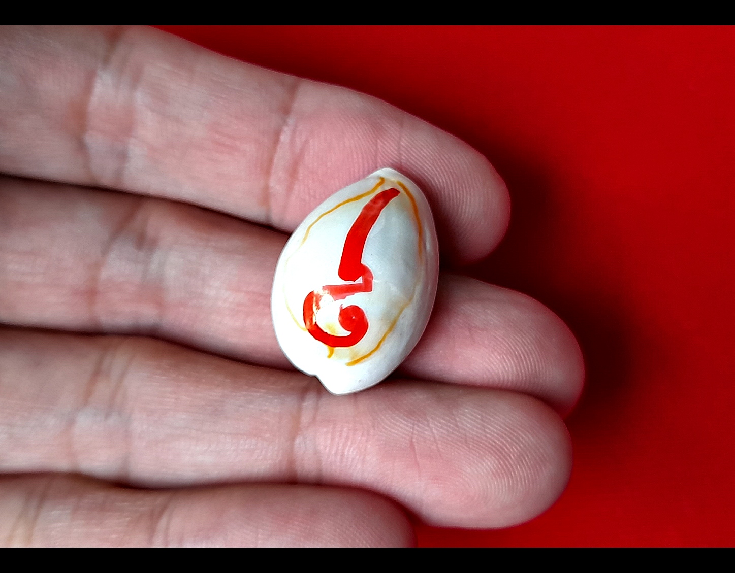 เบี้ย อุดมมงคล ปี2562 (เข้าพิธีเยอะมาก) (จารยันต์อุ อุดมสมบูรณ์ ที่บนตัวเบี้ย) #รับประกันแท้